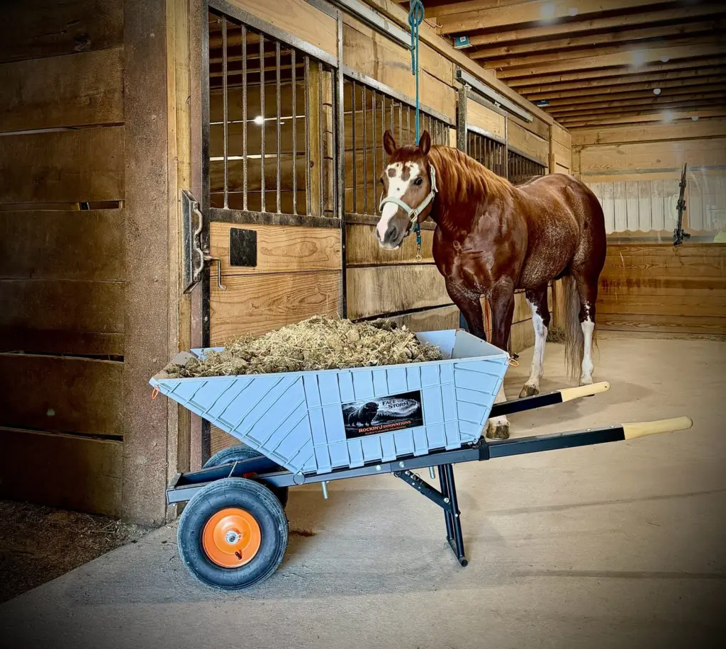 The wheelbarrow loaded with hay in a barn aisle, a horse looking on from behind it